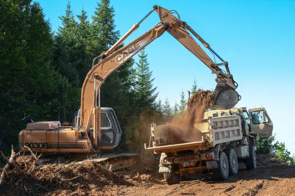 לופין קזינו תמיכה